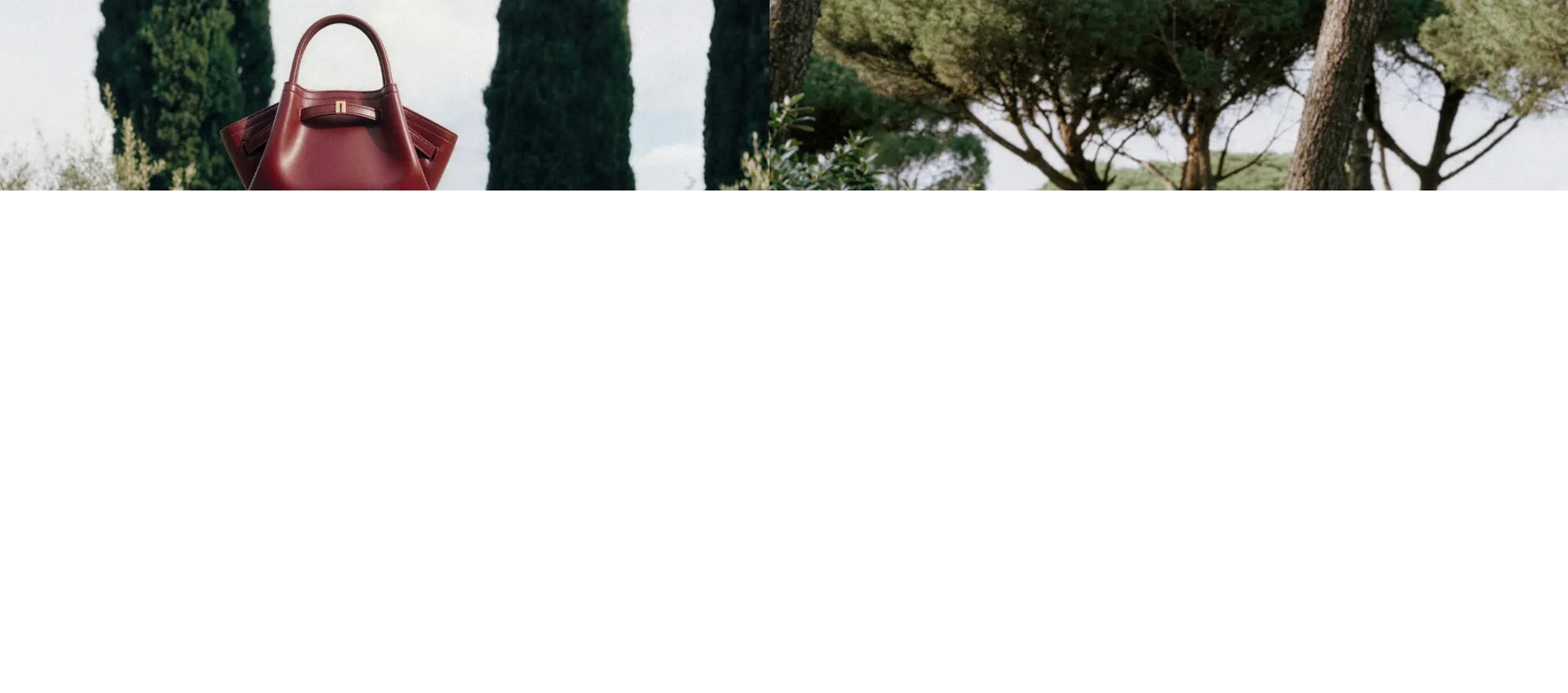 Magezon Image