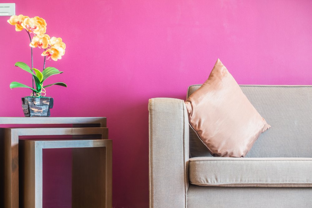 Cat Nippon Paint warna sakura untuk Ruang Tamu