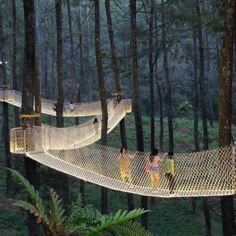 Orchid Forest Lembang