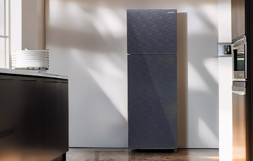 Sharp Kulkas 2 Pintu SJ-246XG-MS Hitam