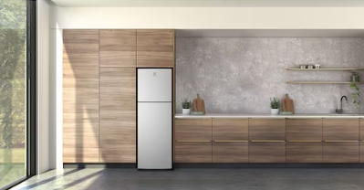 Kulkas Electrolux 2 Pintu Freezer Atas UltimateTaste 300 256L - Perak arktik