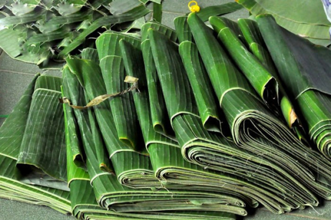 Gunakan Daun Pisang untuk Cara Membersihkan Setrika yang Lengket