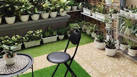 4. Taman Belakang Rumah Minimalis Tanaman dalam Pot