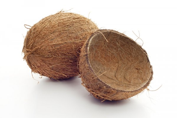batok kelapa