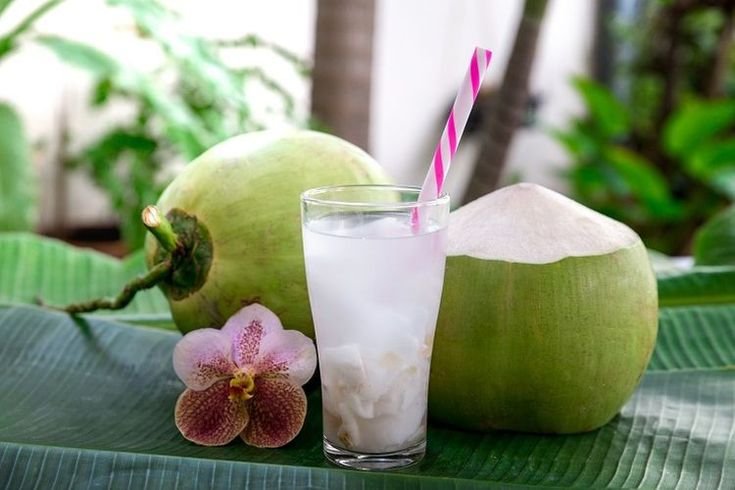 Es Kelapa Muda | Jajanan Buka Puasa