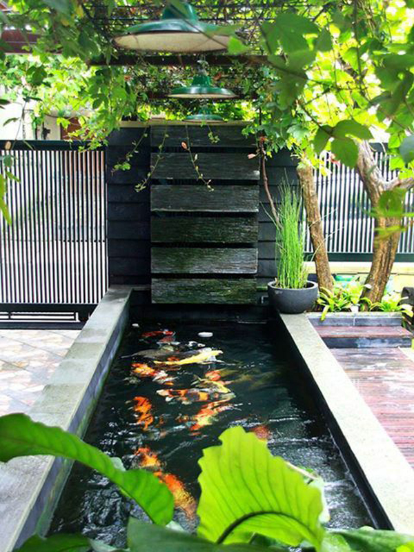 kolam ikan minimalis