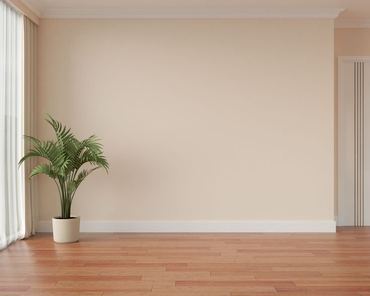 Warna beige seperti apa kalau untuk dinding?
