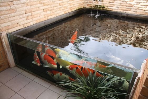 14. Kolam Ikan Minimalis di Pojok Rumah