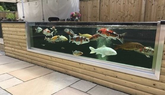 15. Kolam Ikan Minimalis Model Raised