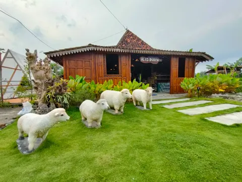 Glamping Alas Duren Yogyakarta