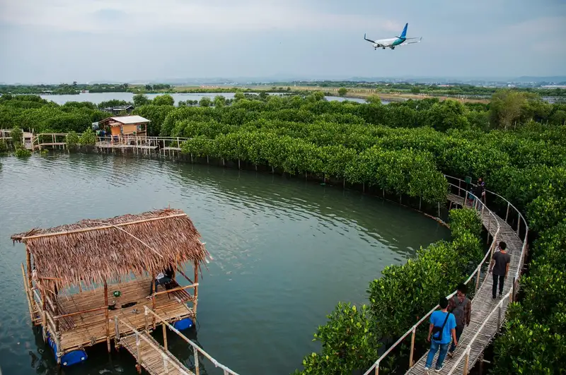 25. Maron Mangrove Edupark