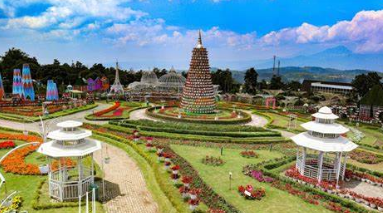 19. Taman Bunga Celosia