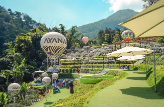 13. Ayanaz Gedong Songo