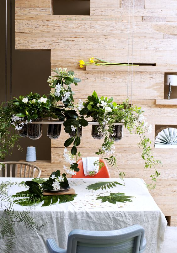 Taman dalam rumah dengan tanaman aromatik