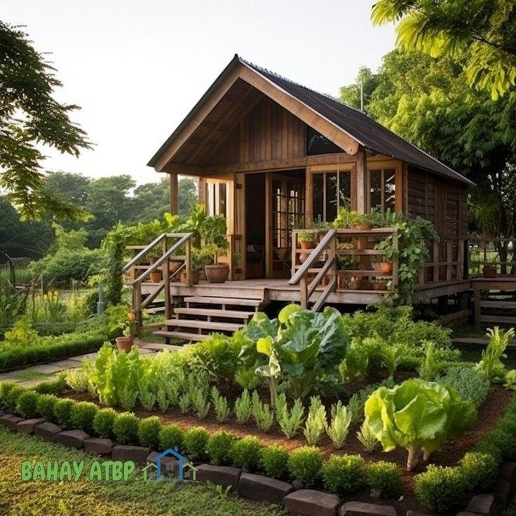 desain rumah kayu mungil
