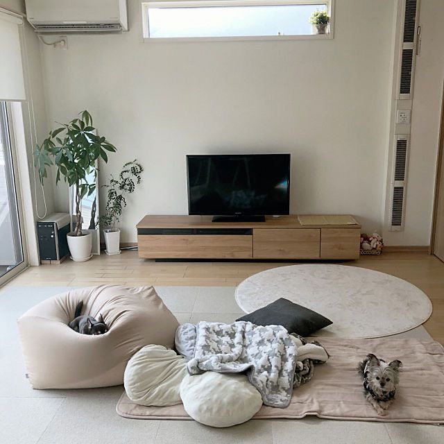 cat ruang tv minimalis