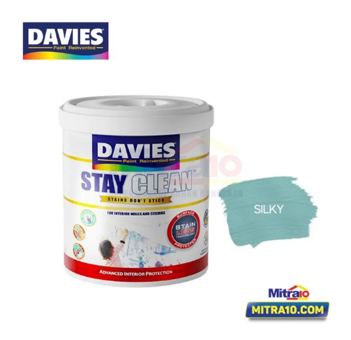 tips interior rumah cantik cat interior davies
