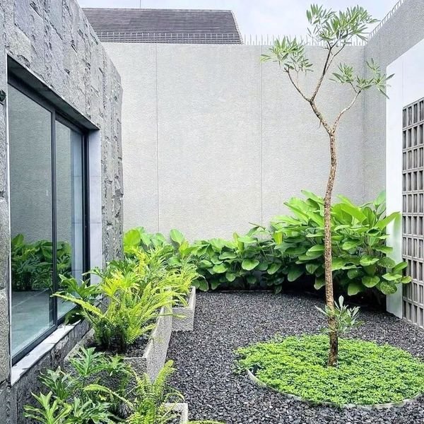 5. Desain dengan Area Terbuka di Belakang