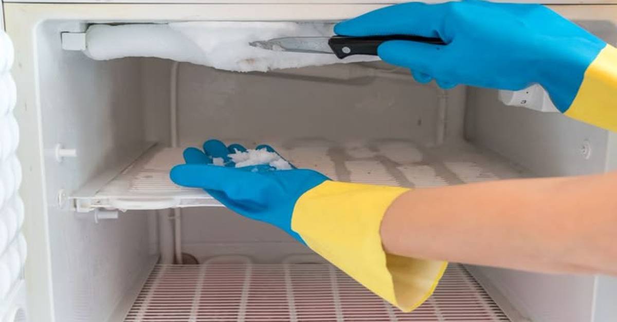 Cara Membersihkan Freezer Kulkas LG 2 Pintu dengan Benar dan Aman
